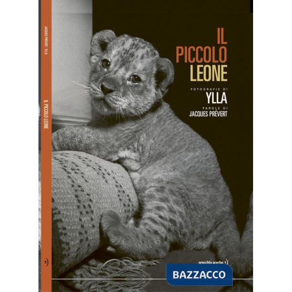 Piccolo leone. Ediz. illustrata (Il)