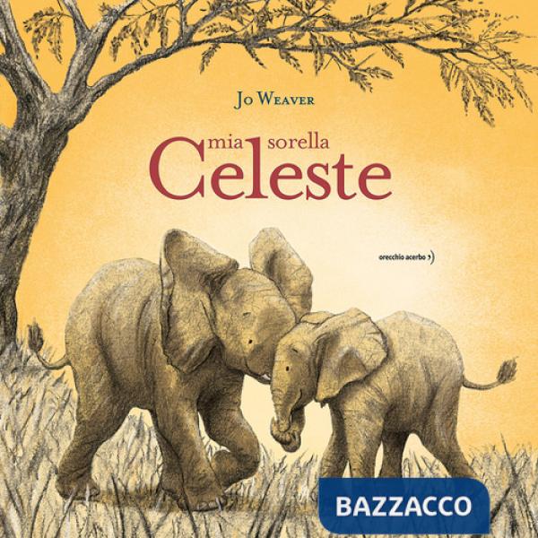 Mia sorella celeste. Ediz. a colori