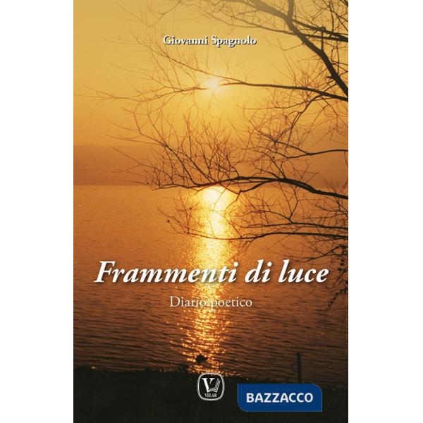 Frammenti di luce. Diario poetico