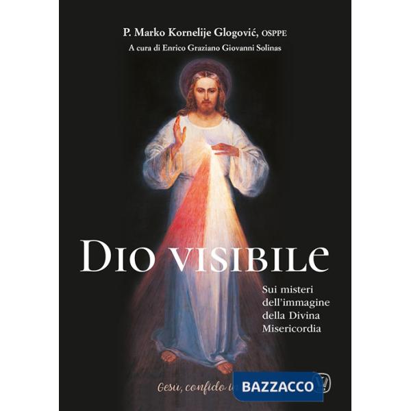 Dio visibile. Sui misteri dell'immagine della Divina Misericordia