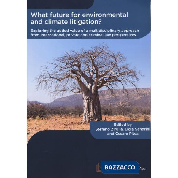 What future for environmental and climate litigation? Exploring the added value of a multidisciplinary approach from internation