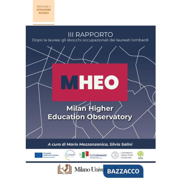 I Rapporto MHEO. Dopo la laurea