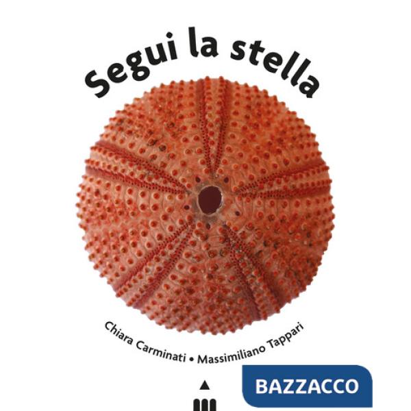 Segui la stella. Ediz. a colori