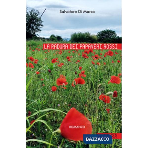 Radura dei papaveri rossi (La)