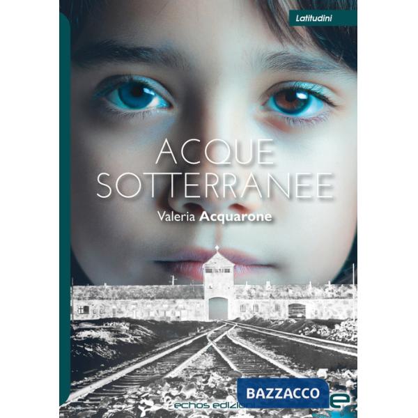 Acque sotterranee