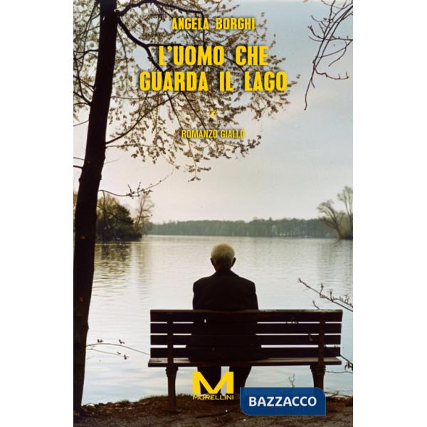 Uomo che guarda il lago (L')