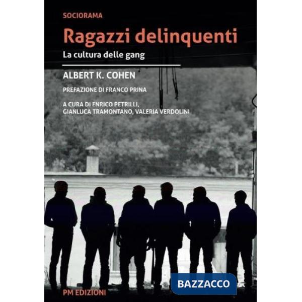 Ragazzi delinquenti. La cultura delle gang