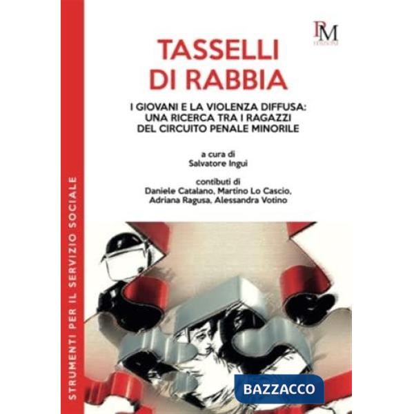 Tasselli di rabbia. I giovani e la violenza diffusa: una ricerca tra i ragazzi del circuito penale minorile