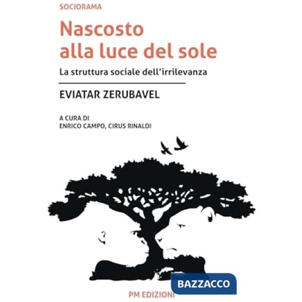 Nascosto alla luce del sole. La struttura sociale dell'irrilevanza