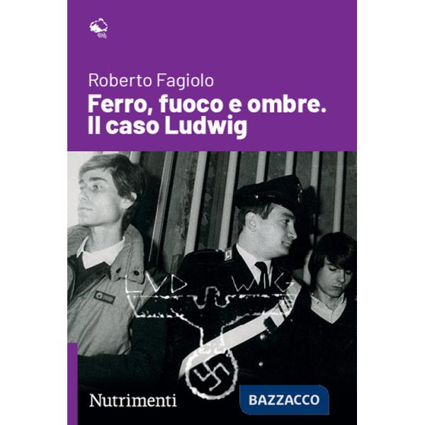 Ferro, fuoco e ombre. Il caso Ludwig