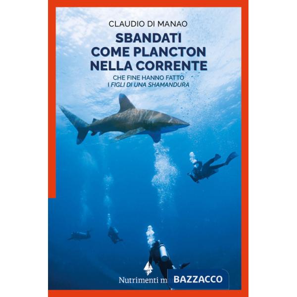 Sbandati come plancton nella corrente. Che fine hanno fatto i «figli di una Shamandura»