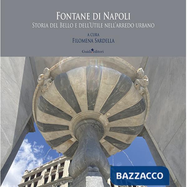Fontane di Napoli. Storia del bello e dell'utile nell'arredo urbano