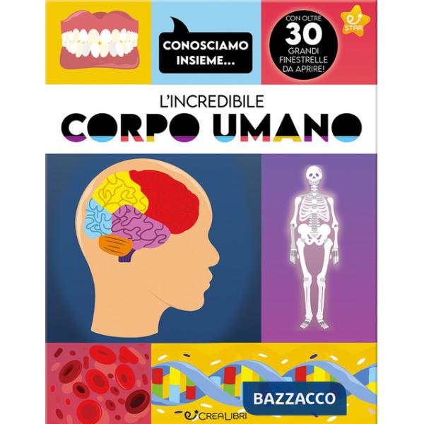 Incredibile corpo umano. Ediz. a colori (L')