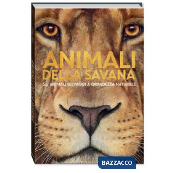 Animali della savana. Grande natura