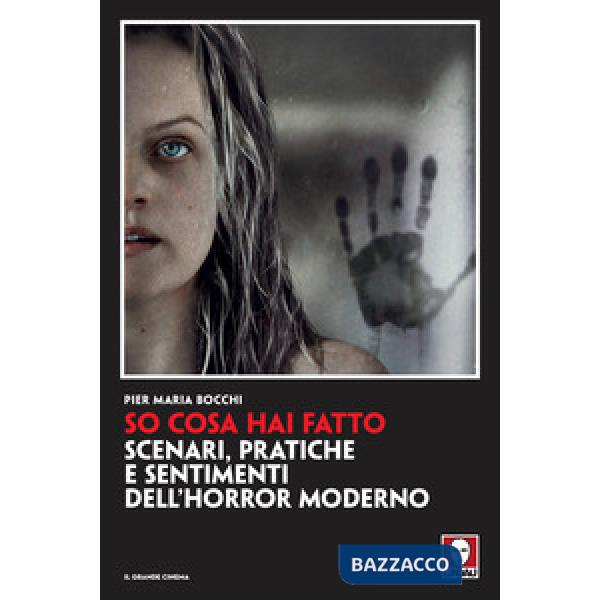 So cosa hai fatto. Scenari, pratiche e sentimenti dell'horror moderno