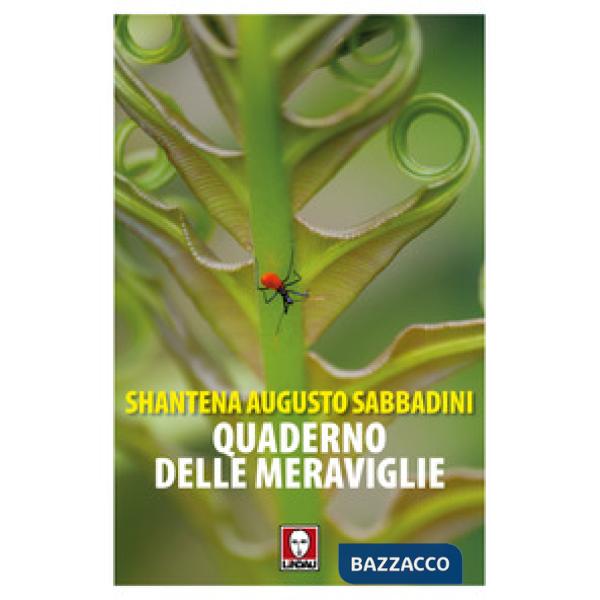 Quaderno delle meraviglie