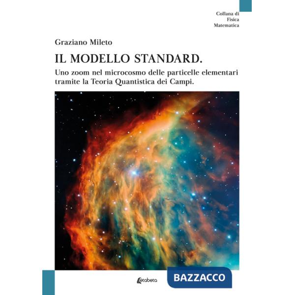 Modello standard. Uno zoom nel microcosmo delle particelle elementari tramite la teoria quantistica dei campi (Il)