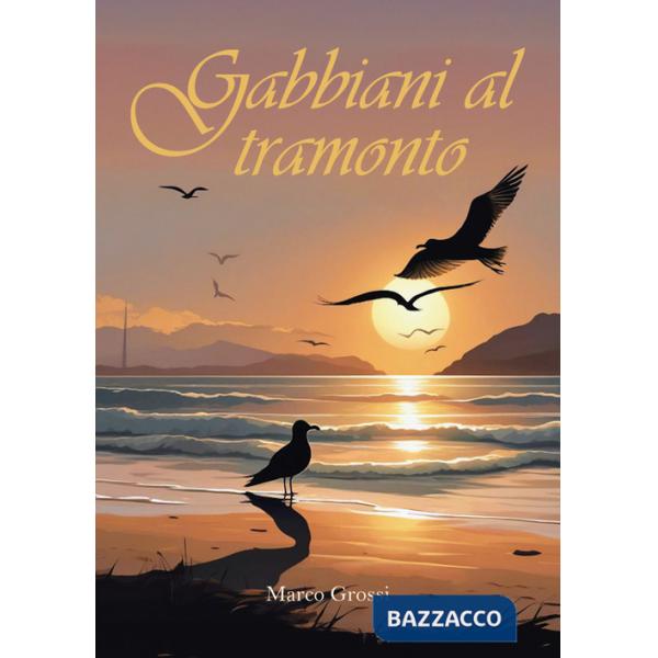 Gabbiani al tramonto