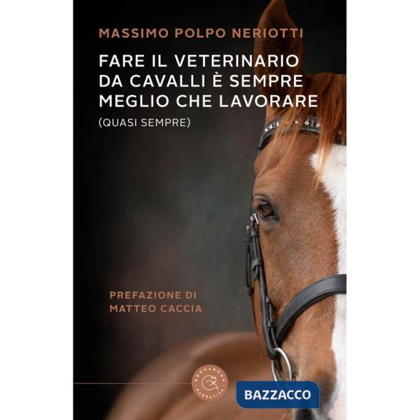 Fare il veterinario da cavalli è sempre meglio che lavorare (quasi sempre)