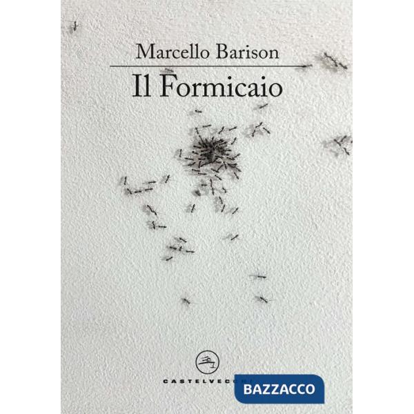 Formicaio. Un resoconto (Il)