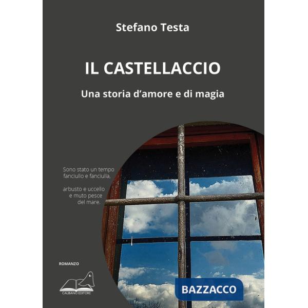 Castellaccio. Una storia d'amore e di magia (Il)