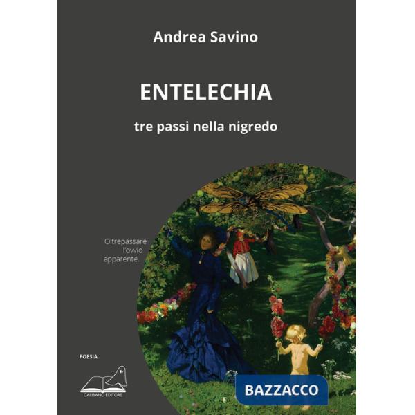 Entelechia. Tre passi nella nigredo