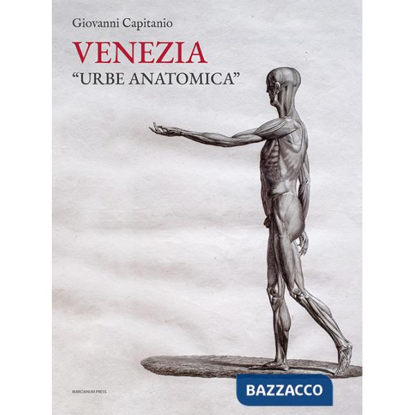 Venezia «urbe anatomica». Itinerari anatomici a Venezia e la Biblioteca della Scuola Grande di San Marco