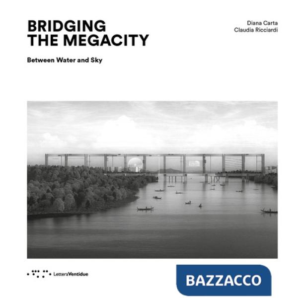 Bridging the megacity. Between water and sky
