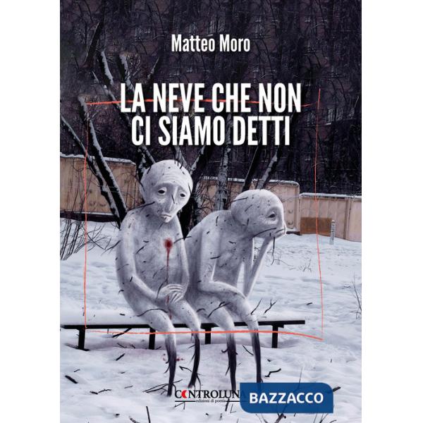 Neve che non ci siamo detti (La)