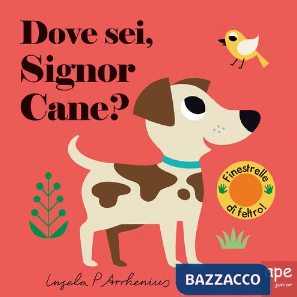 Dove sei, signor Cane? Ediz. illustrata