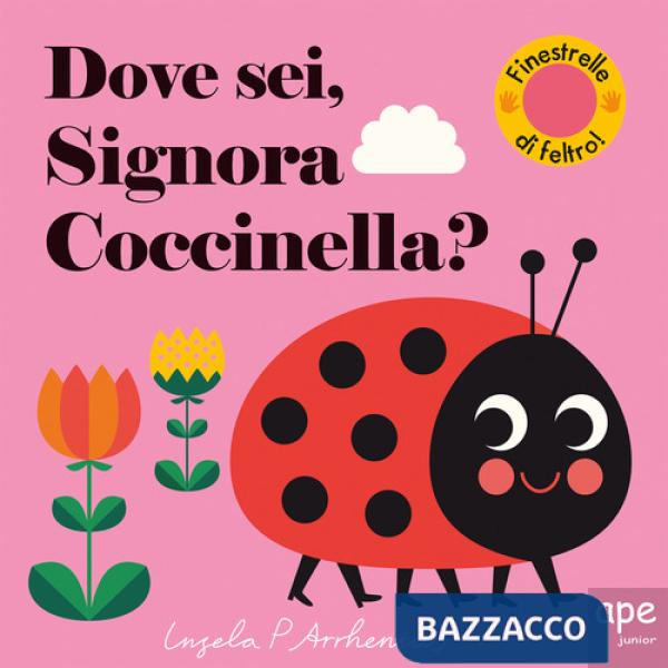Dove sei, signora Coccinella? Ediz. a colori