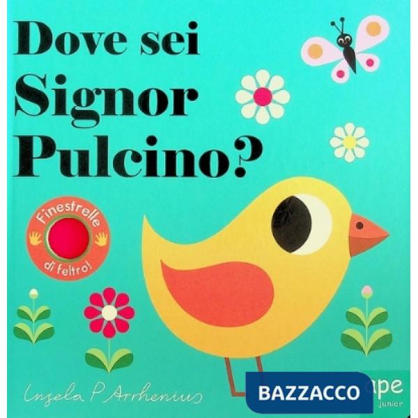 Dove sei signor Pulcino? Ediz. a colori