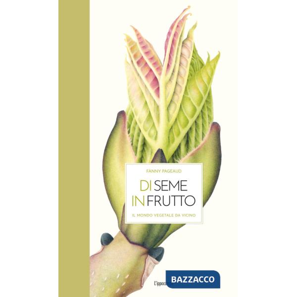 Di seme in frutto. Il mondo vegetale da vicino. Ediz. illustrata