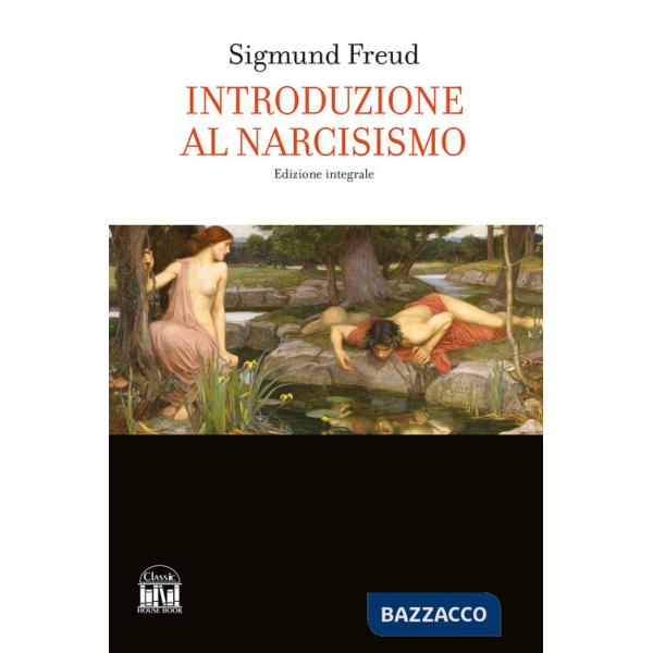 Introduzione al narcisismo