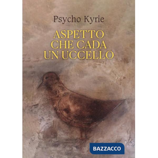 Aspetto che cada un uccello