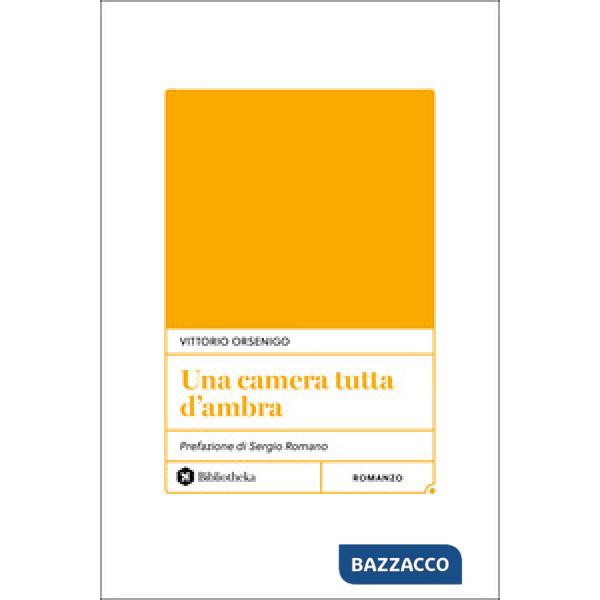 Camera tutta d'ambra (Una)
