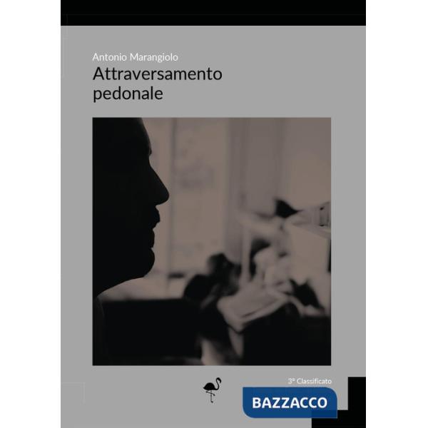 Attraversamento pedonale