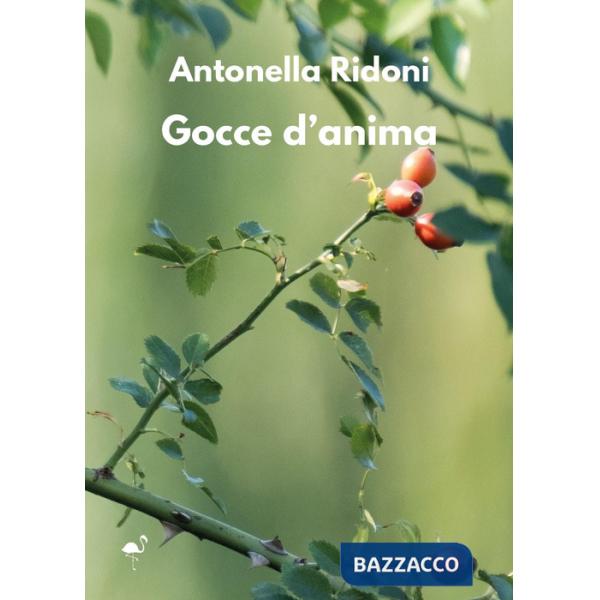 Gocce d'anima