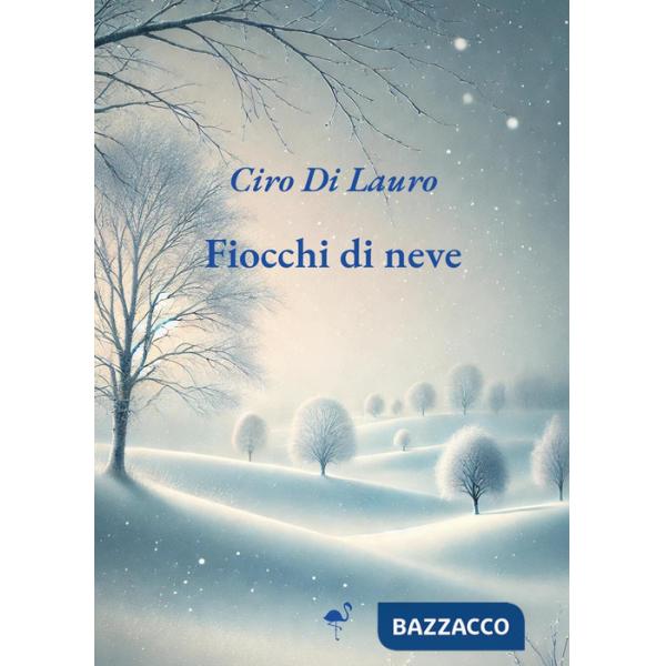 Fiocchi di neve