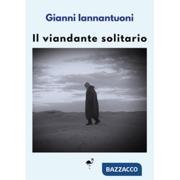 Viandante solitario (Il)