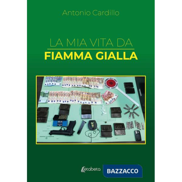 Mia vita da Fiamma Gialla (La)