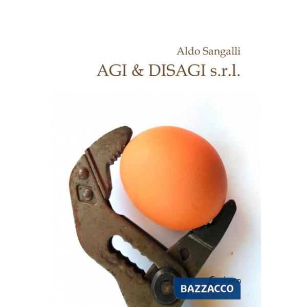 Agi & disagi s.r.l.