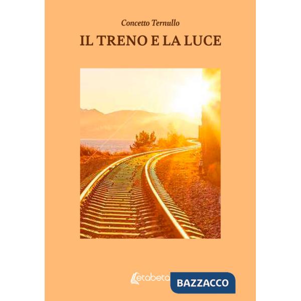 Treno e la luce (Il)