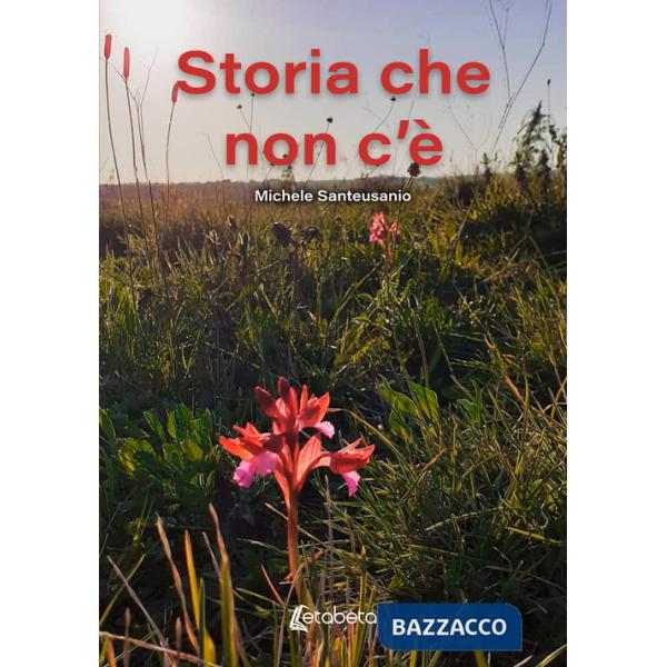 Storia che non c'è