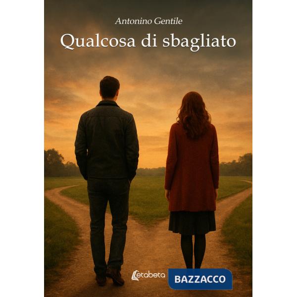 Qualcosa di sbagliato