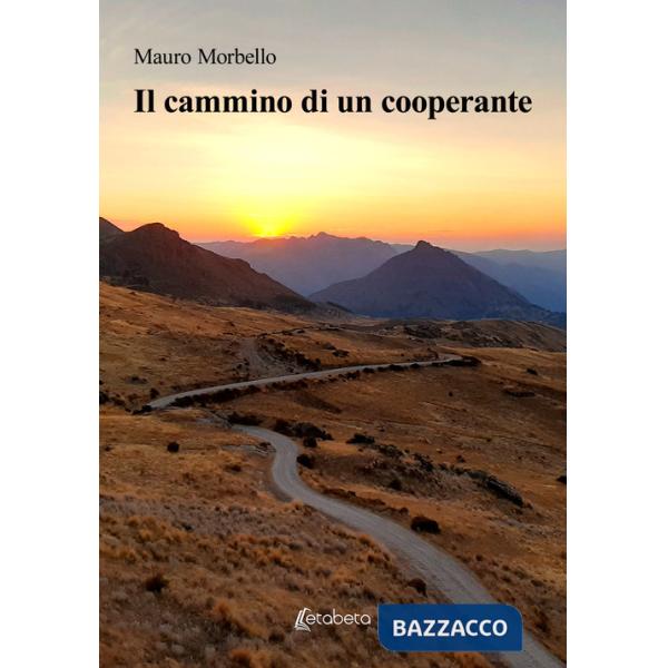 Cammino di un cooperante (Il)