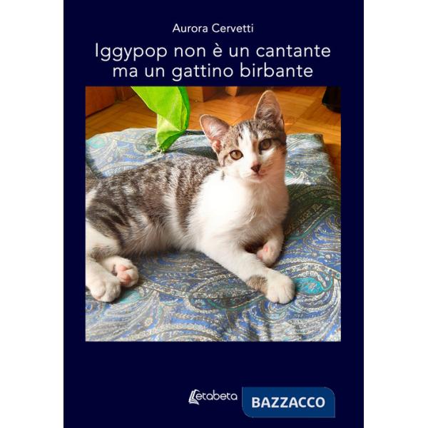 Iggypop non è un cantante ma un gattino birbante