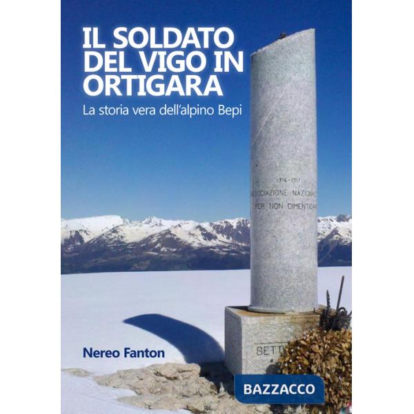Soldato del Vigo in Ortigara. La storia vera dell'alpino Bepi (Il)