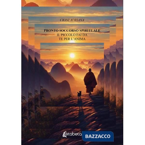 Pronto soccorso spirituale. Il piccolo fai da te per l'anima