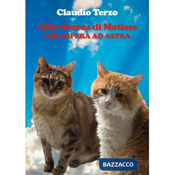 Alla ricerca di Matisse. Per aspera ad astra